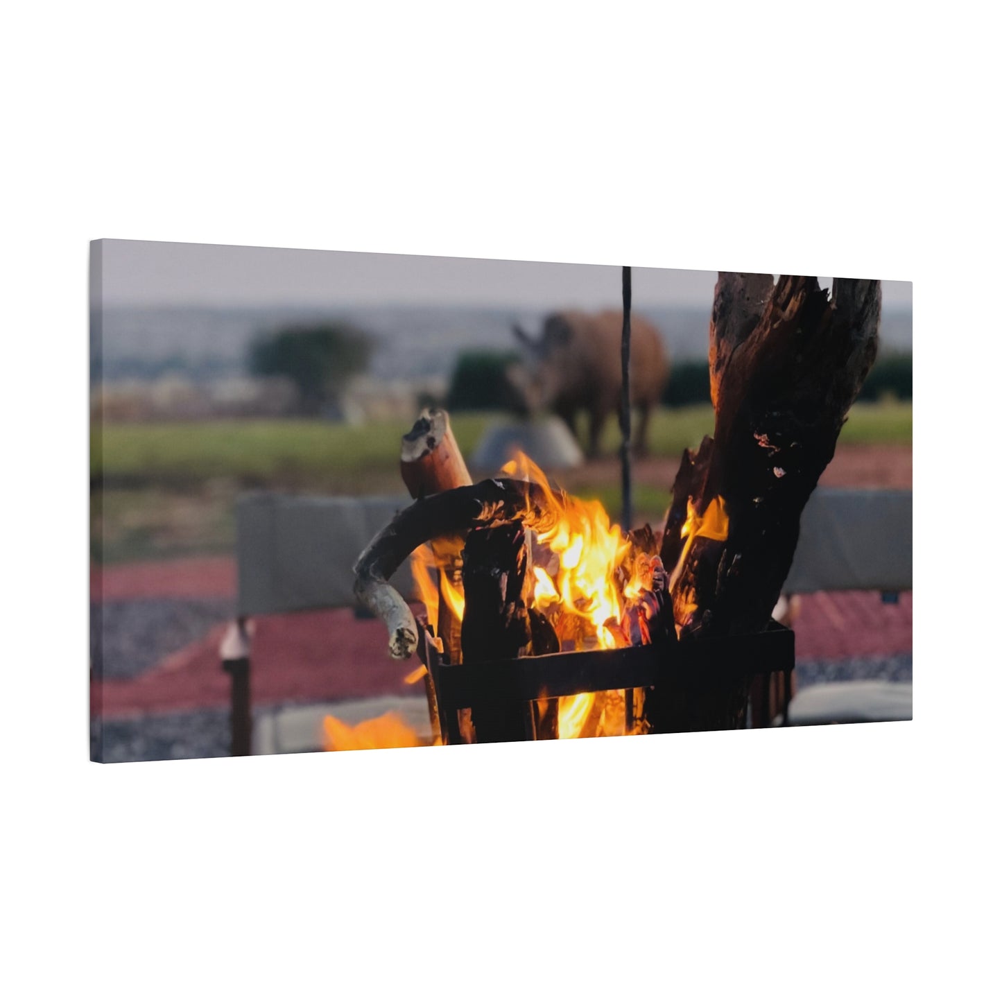 Cozy Firepit with a Rhino Canvas