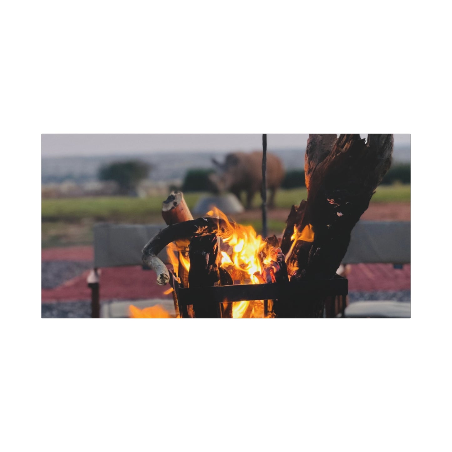 Cozy Firepit with a Rhino Canvas