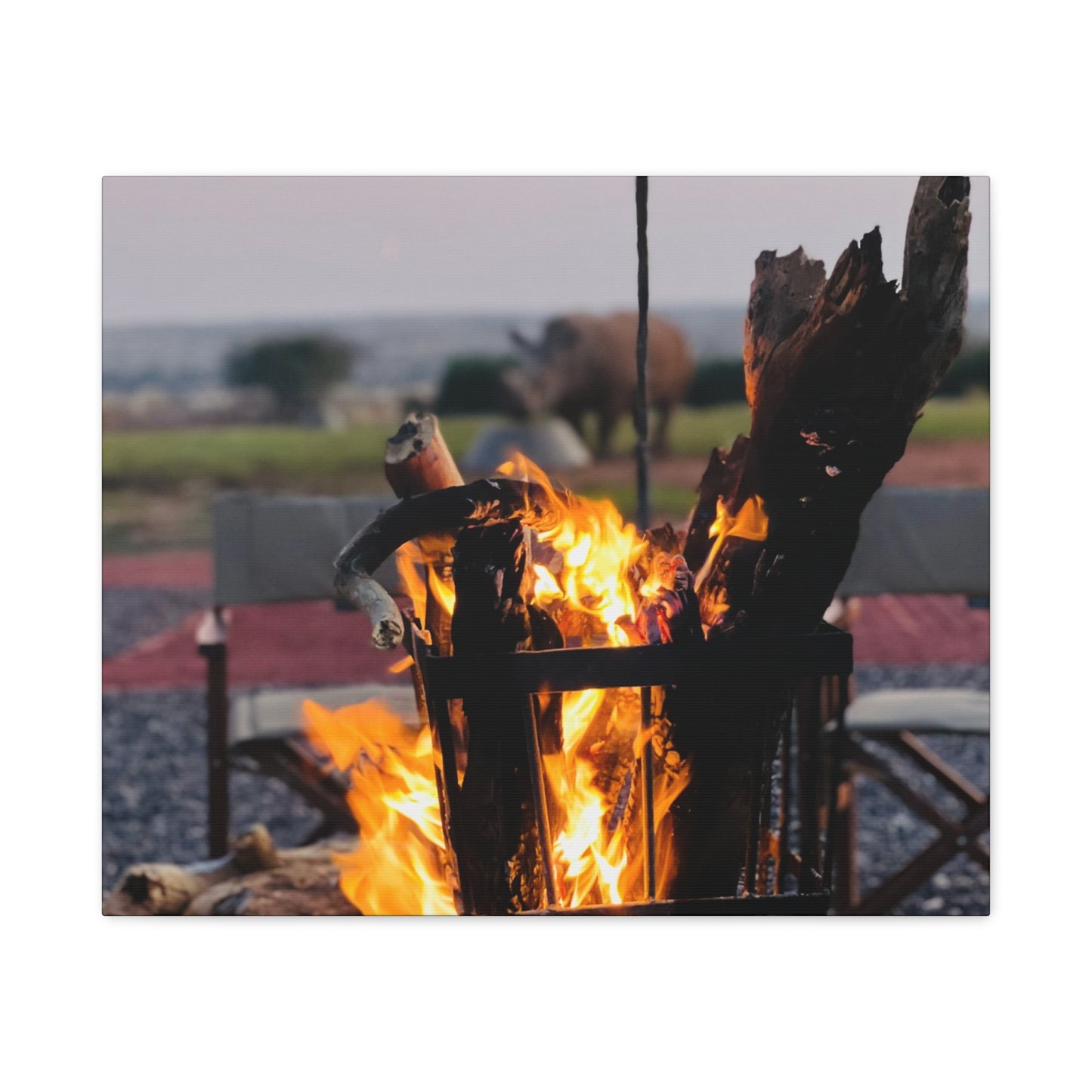 Cozy Firepit with a Rhino Canvas