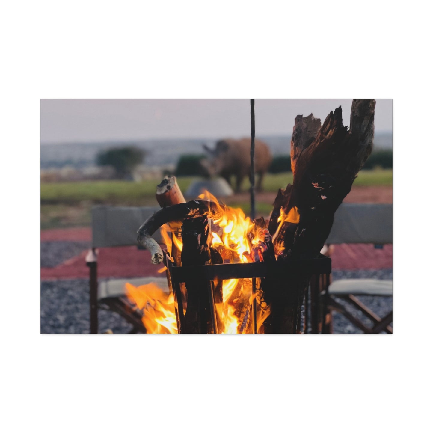 Cozy Firepit with a Rhino Canvas
