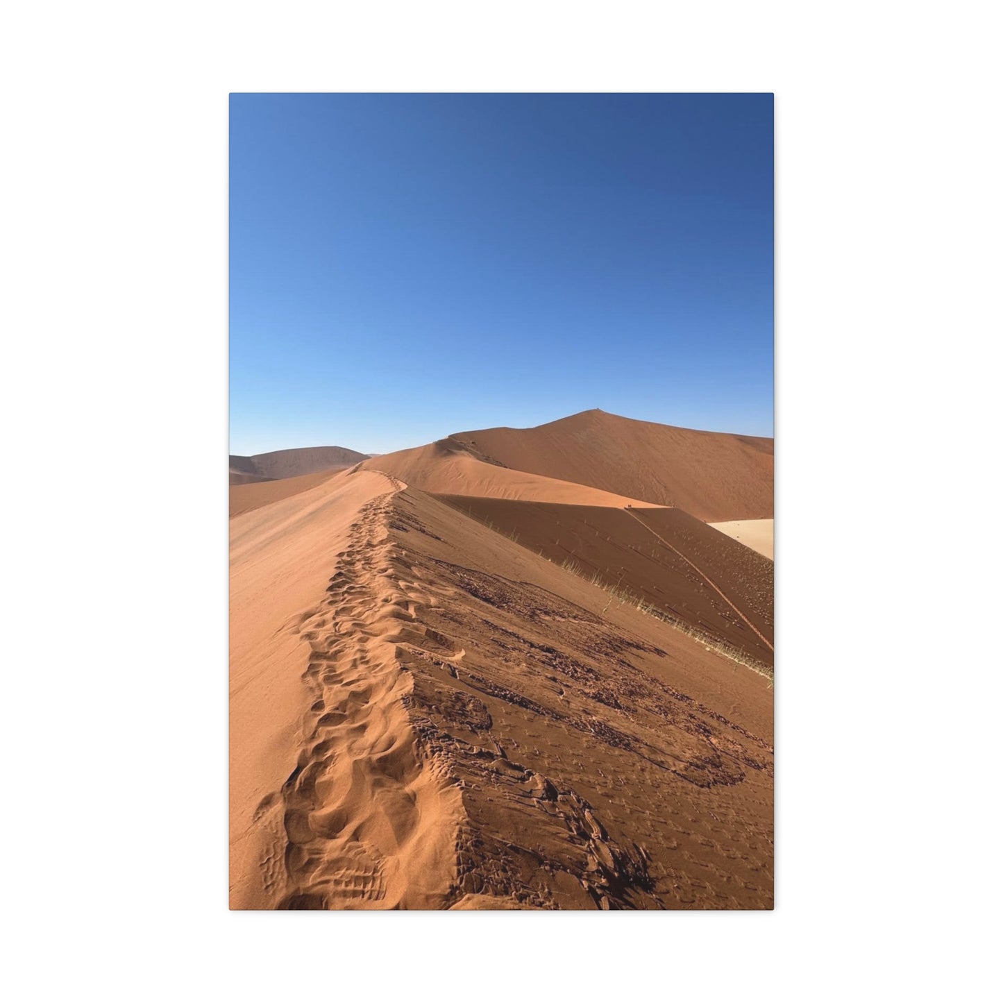 Desert Landscape Canvas Print, Nature Wall Art, Home Decor, Gift for Nature Lovers, Travel Themed Art, Minimalist Room Decor