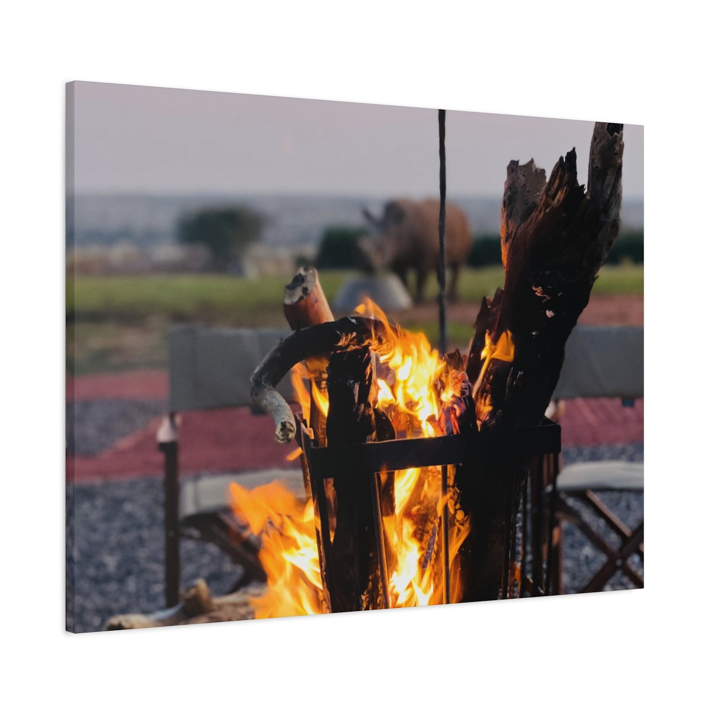 Cozy Firepit with a Rhino Canvas