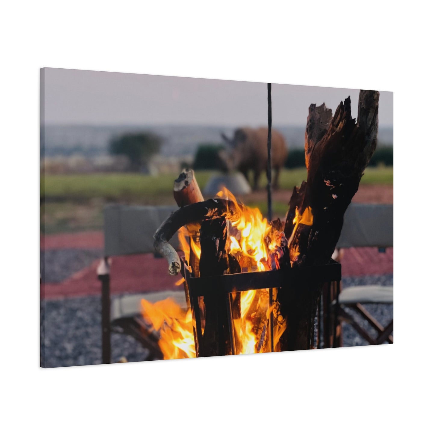 Cozy Firepit with a Rhino Canvas
